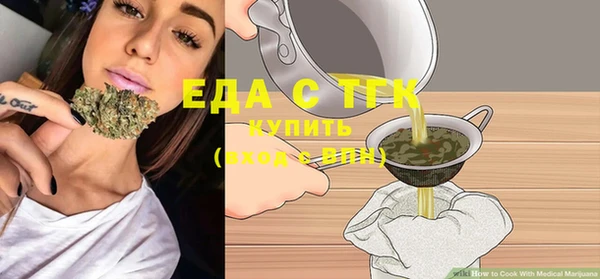 индика Новодвинск