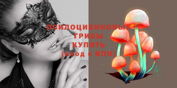 круглые Няндома