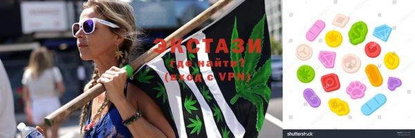 индика Новодвинск