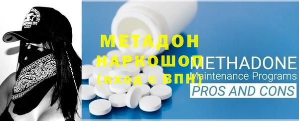 индика Новодвинск