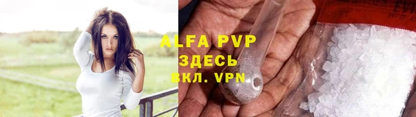 индика Новодвинск