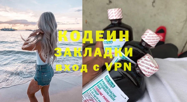 индика Новодвинск