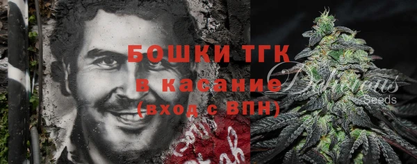 индика Новодвинск
