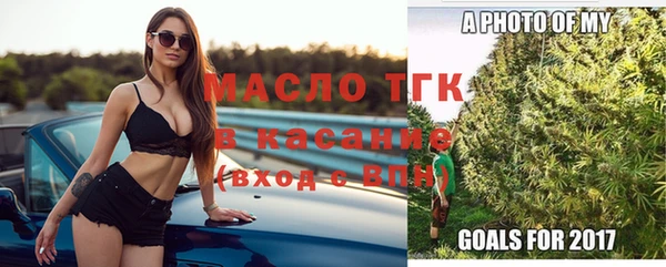 индика Новодвинск