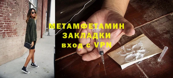 индика Новодвинск