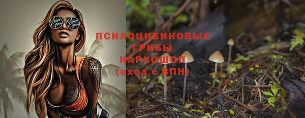 индика Новодвинск