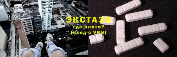индика Новодвинск