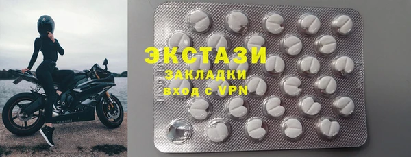 индика Новодвинск