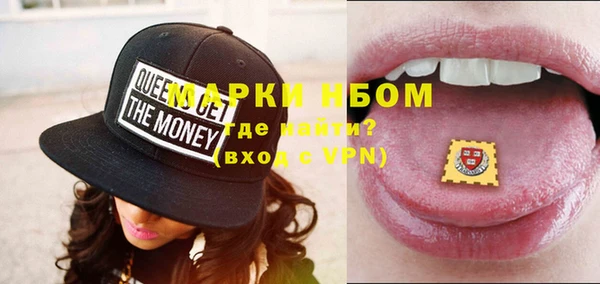 индика Новодвинск
